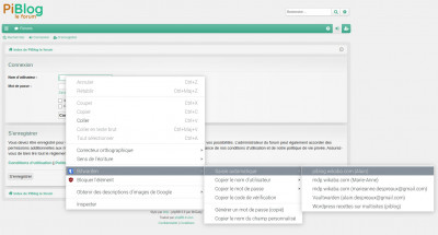 Saisie automatique pour l'idetification sur PiBlog
