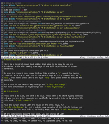 micro : fenêtre du haut avec le texte à éditer, en dessous l'aide puis les commandes principales